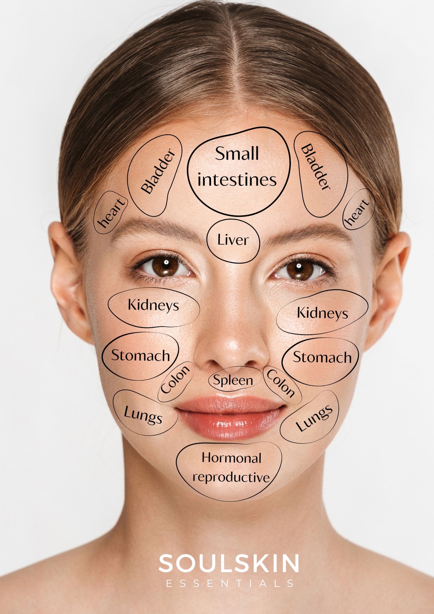 Face Chart facial reflexology