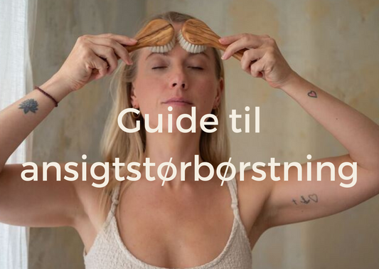 Din guide til ansigtstørbørstning