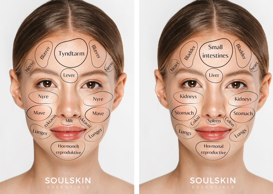 Face Mapping - Hvad fortæller din hud dig?