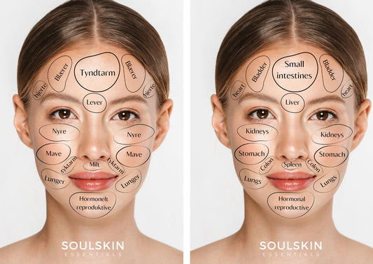 Face Mapping - Hvad fortæller din hud dig?